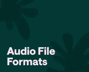 Introduction to Audio File Formats: Which Audio File to Choose