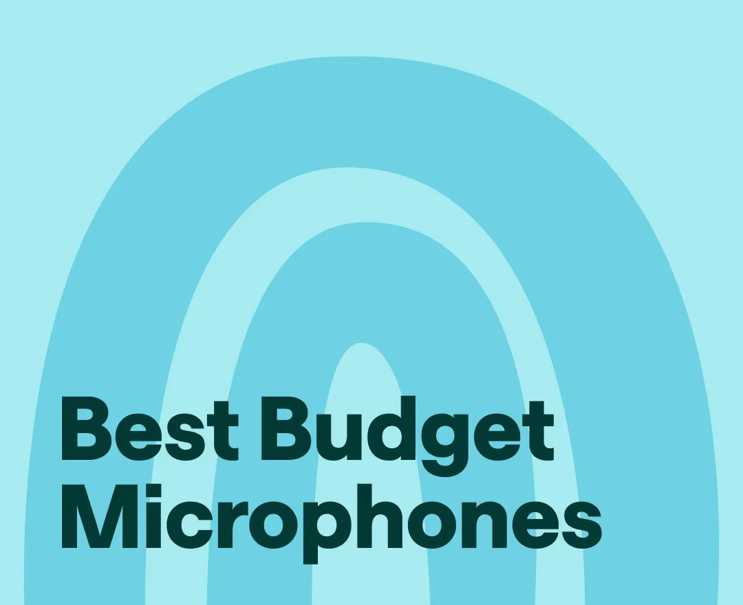 Best budget microphones