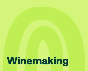 The Best Wine Podcasts to know More about Winemaking