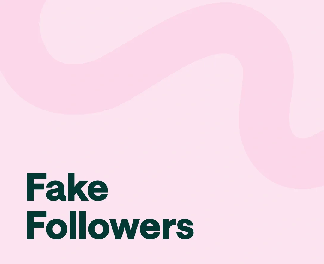 fake instagram followers