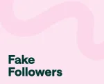 fake instagram followers