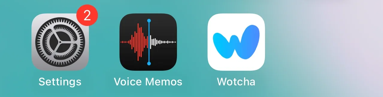 Screenshot of iOS voice memos used to record audio on iPhone