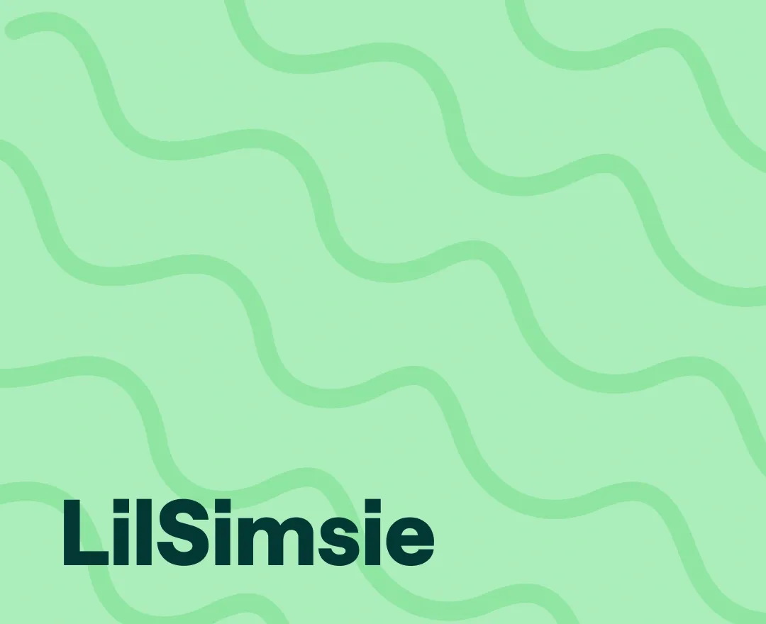 who is lilsimsie